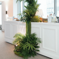 French-Service-Bar-Hire3.6m(2)