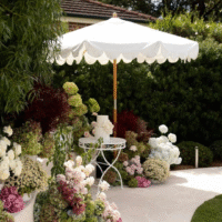 White-Bentwood-Chair-Hire-Sydney4