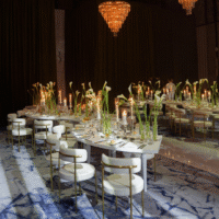 White-Blanca-Serpentine-Table-Hire2