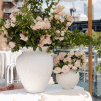 Puglia-Urn-Pot-Hire-Sydney (2)