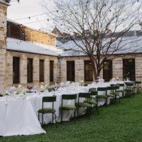 Green-Moss-Unico-Chair-Hire-Sydney