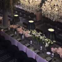 Large-Black-Wave-Lamp-Black-Base-Hire-Sydney4