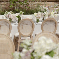 Rattan-Louis-Chair-Hire4